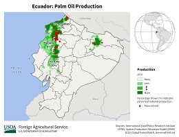 images\EC\cropprod\Ecuador_Palm_preview.jpg